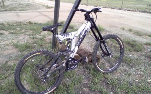 Iron Horse downhill Bikes for sale