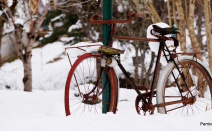 S 34 snow stuff : Bicycle Race