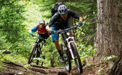 Best Mountain Bike Brands