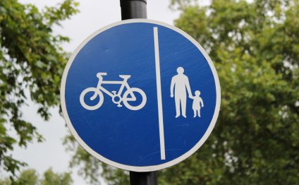 Biking & Pedestrian Zone Sign