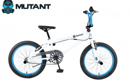 Bmx Bikes Blue And White Stunt