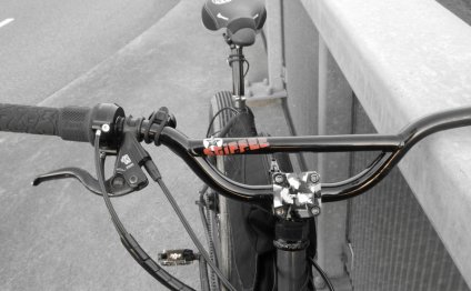 BMX style bars on a fat bike?