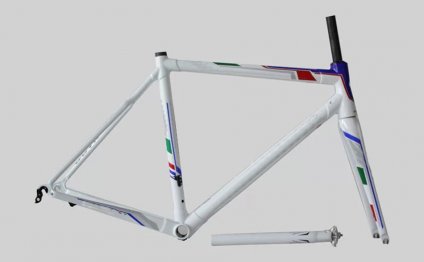 Factory sale carbon frame road