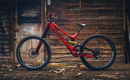 Specialized-s-works-demo-8