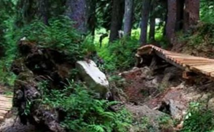 Stevens Pass Bike Park