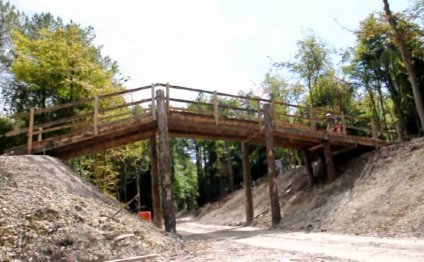 UK Bike Park, Big Grin