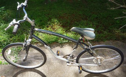 Schwinn Skyliner Womens 21