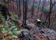 most readily useful Bike Parks: Highland Bike Park, NH