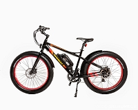 Biktrix Juggernaut HD back Hub Motor Electric Fat Tire bicycle 500w Motor