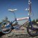 Pit Bike BMX