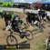 Pro Freestyle BMX Bikes