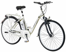 Hybrid electric bike