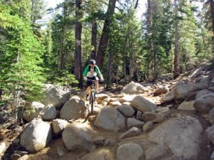 Mr. Toads crazy Ride in Lake Tahoe