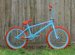 Aaron Ross BMX Bike