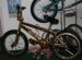 Dave Mirra, BMX Bike