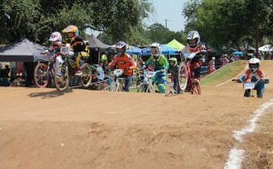 BMX Bikes San Antonio