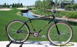 BMX Cruiser Bikes for sale