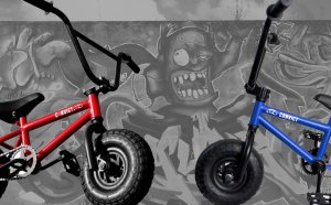 Mini BMX Bikes for Sale