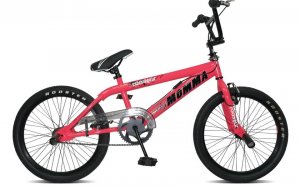 Rooster Big Daddy BMX Bike
