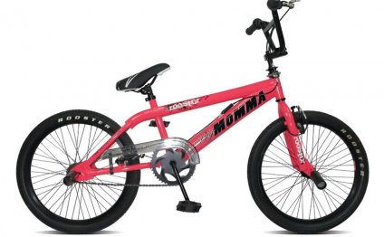 Rooster Big Daddy BMX Bike