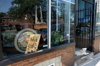 The storefront, with shop dog Hershel (who belongs to Behyl) keeping view