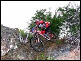 Downhill Mountain bike pictures