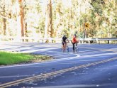 Haleakala downhill bike Tour