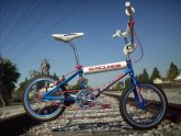 Pit Bike BMX