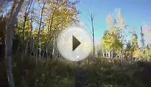 2011 October 15 Fall Mountain Biking Tibble Fork Downhill