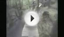 "Awsome Downhill Mountain Bike Run on Helmet Cam"