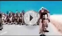 Bicycle Racing Anime (Japanese)