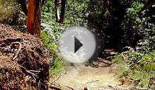 Downhill Mountain Biking is AWESOME