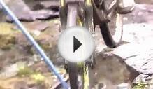 Mountain Bike World Cup MTB Downhill Extreme UNBELIEVABLE