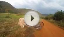 Mountain Biker gets taken out by LION - CRAZY Footage