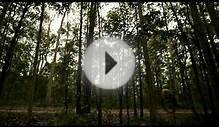 Ourimbah Downhill Track- Short Mountain Bike Film