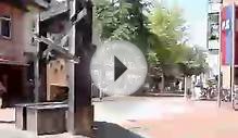 SE-Racing Wildman Pro