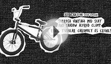 Subrosa Letum BMX Bike 2016