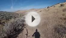 Trespass Trail Downhill Mountain Bike