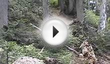 Whistler B.C. Mountain Biking Freeride Downhill HD