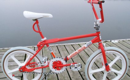 Vintage Racing Bicycles for sale